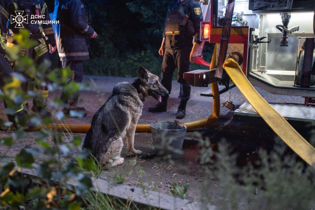 Атака на Суми 27 травня Атака на Суми 27 травня