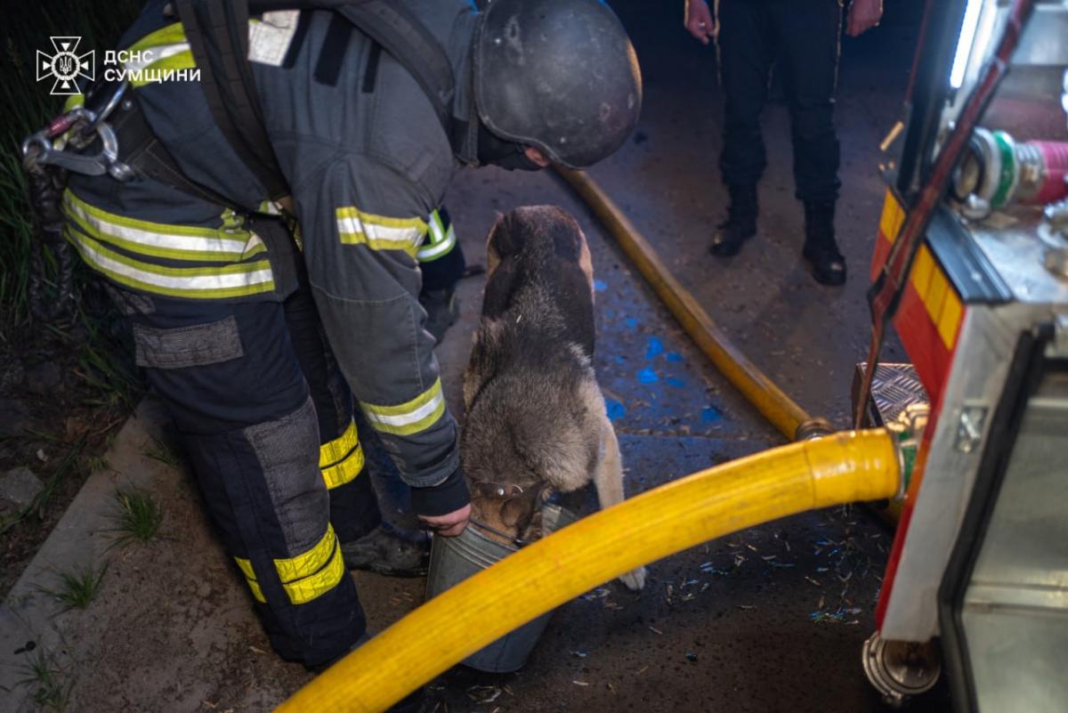Атака на Суми 27 травня Атака на Суми 27 травня