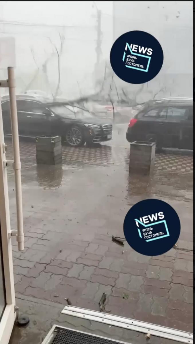 Дерево впало на машину Дерево впало на машину