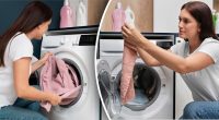 Не переживуть прання: 2 несподівані речі, які не слід класти в пральну машину