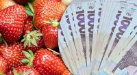 Сколько стоит клубника в Украине: где купить дешевле всего и крупно сэкономить