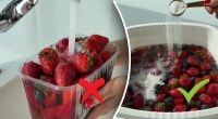 Як правильно мити полуницю: простий і ефективний спосіб