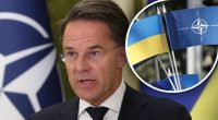 Україні не обіцяли членства в НАТО в рамках угоди про закінчення війни - Рютте