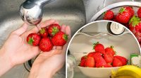 Навіщо господині миють полуницю оцтом: секретний прийом