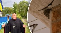 Неожиданный гость: священник сказал, что делать, если в дом залетела ласточка