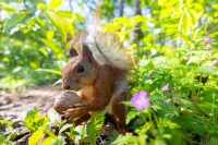 Антициклон Ines накриє Україну: українців попередили про зміни погоди