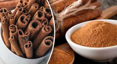 Для кого шкідлива кора Для кого шкідлива кора