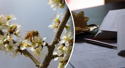 Фінансовий гороскоп на тиждень Фінансовий гороскоп на тиждень