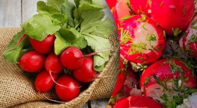 Редька в клярі - рецепт Редька в клярі - рецепт