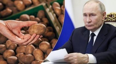Путин, картошка Путин, картошка