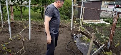 Скриншот Скриншот