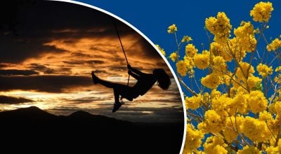 Финансовый гороскоп на неделю Финансовый гороскоп на неделю