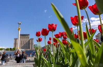 погода погода