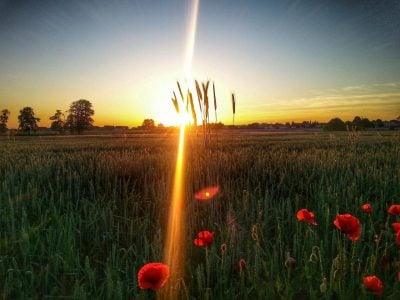 Погода до кінця травня в Україні прогноз Погода до кінця травня в Україні прогноз