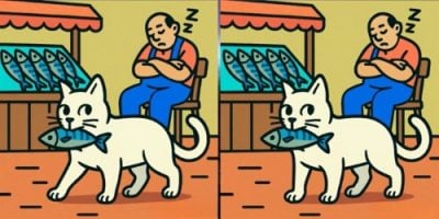 Потрясающая головоломка для самых внимательных: чем отличаются 2 кота