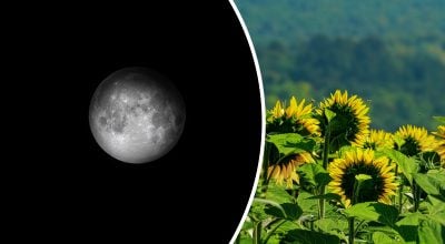 Місячний календар на червень 2025 року Місячний календар на червень 2025 року