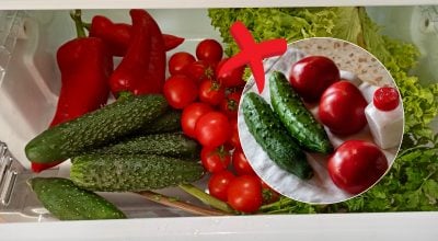 Людей закликали не ставити огірки поруч з помідорами: у чому причина Людей закликали не ставити огірки поруч з помідорами: у чому причина