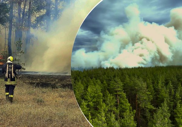 Горить 20 га лісу, вибухають боєприпаси: що відбувається на Харківщині