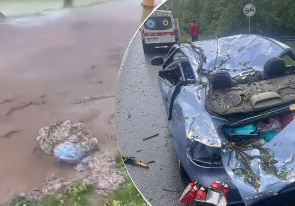 Дороги перетворились на ріки, вітер валить дерева: Україною шириться потужний шторм