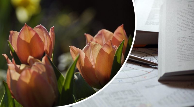 Гороскоп на неделю с 5 по 11 мая: Водолеям - "запара", Девам - терпение