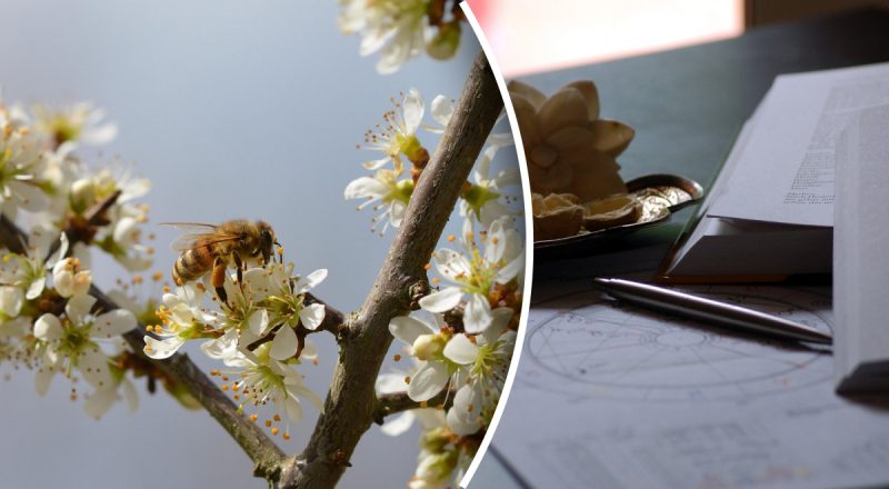 Финансовый гороскоп на неделю с 5 по 11 мая