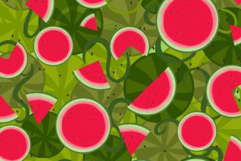 Загадка для самых умных: найдите змею среди арбузов за 7 секунд