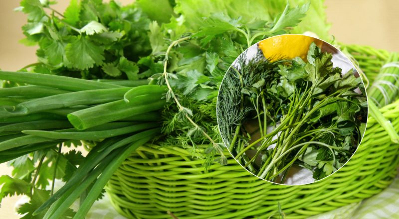 Зелень буде свіжою тижнями: знайдено секретне місце для зберігання