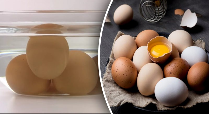 Як перевірити яйця на свіжість - бабусин метод із стовідстотковою точністю