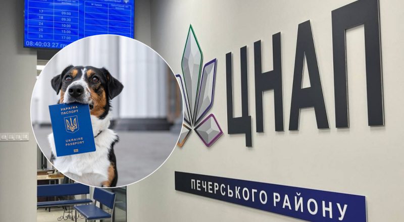 Регистрация собак в Киеве: увеличат ли коммуналку владельцам животных