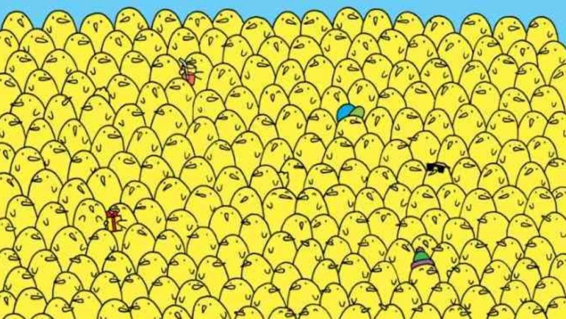 Загадка для самых гениальных: найдите 5 лимонов среди цыплят за 5 секунд