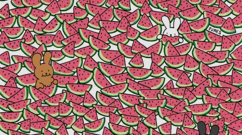 Супертест на IQ: знайдіть 5 кісточок від кавуна за 5 секунд