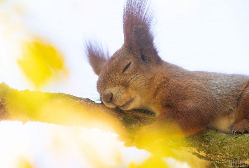 Температура стремительно пойдет вверх: названа точная дата потепления в Украине