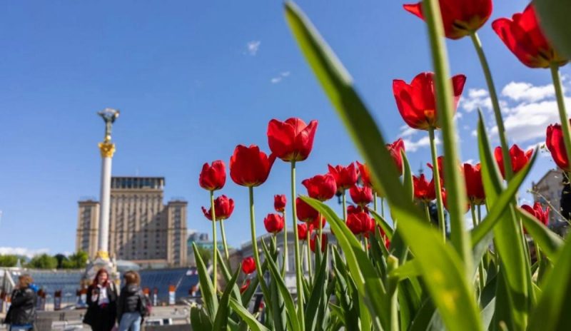 "Не пропустіть": українцям назвали дату ідеальної погоди