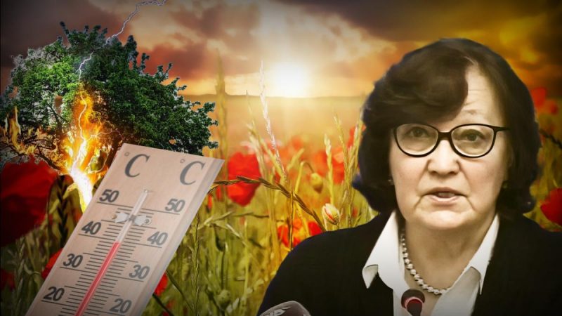 На Україну чекає спека: синоптик Мартазінова назвала дати різкої зміни погоди