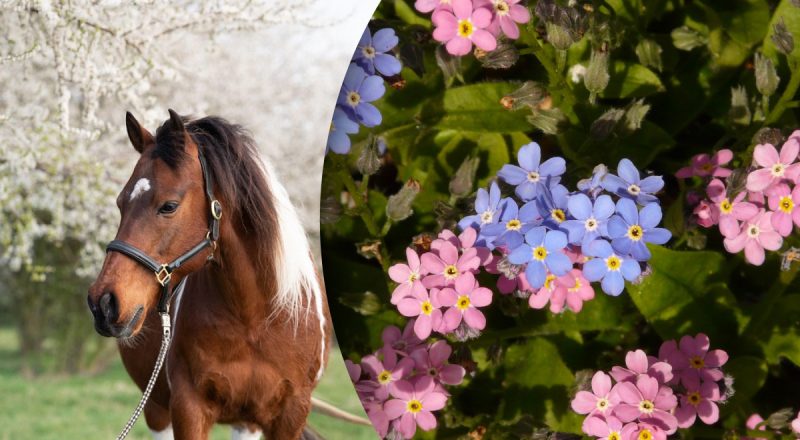 Китайский гороскоп на сегодня 23 мая: Лошадям - одиночество, Крысам - жертвы