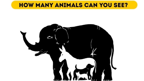 Загадка Загадка