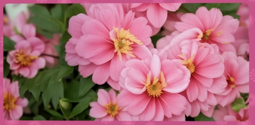 Загадка Загадка