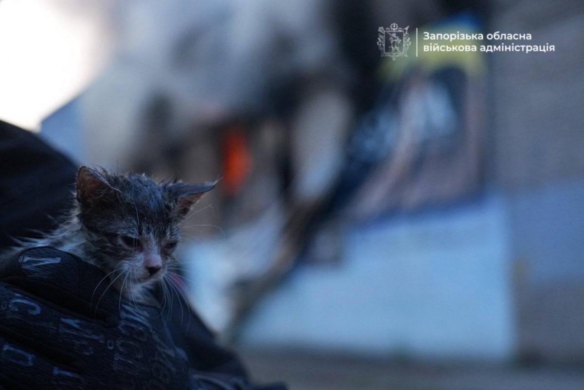 Наслідки удару по Запоріжжю в ніч на 14 червня 2025 року Наслідки удару по Запоріжжю в ніч на 14 червня 2025 року