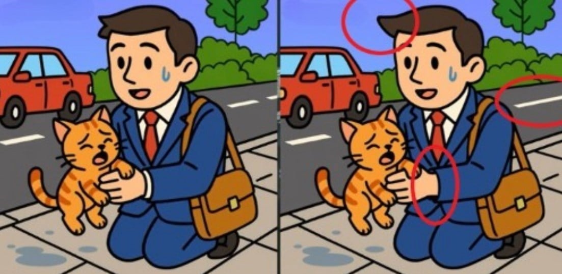 Разгадка Разгадка