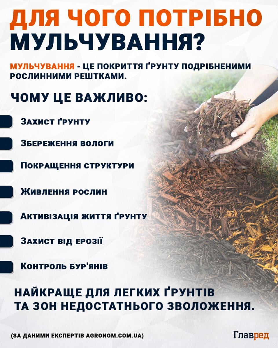 Для чого потрібно мульчування