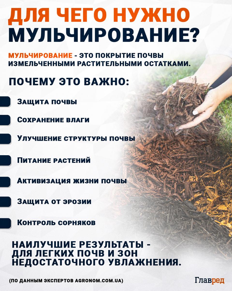 Для чего нужно мульчирование Для чего нужно мульчирование
