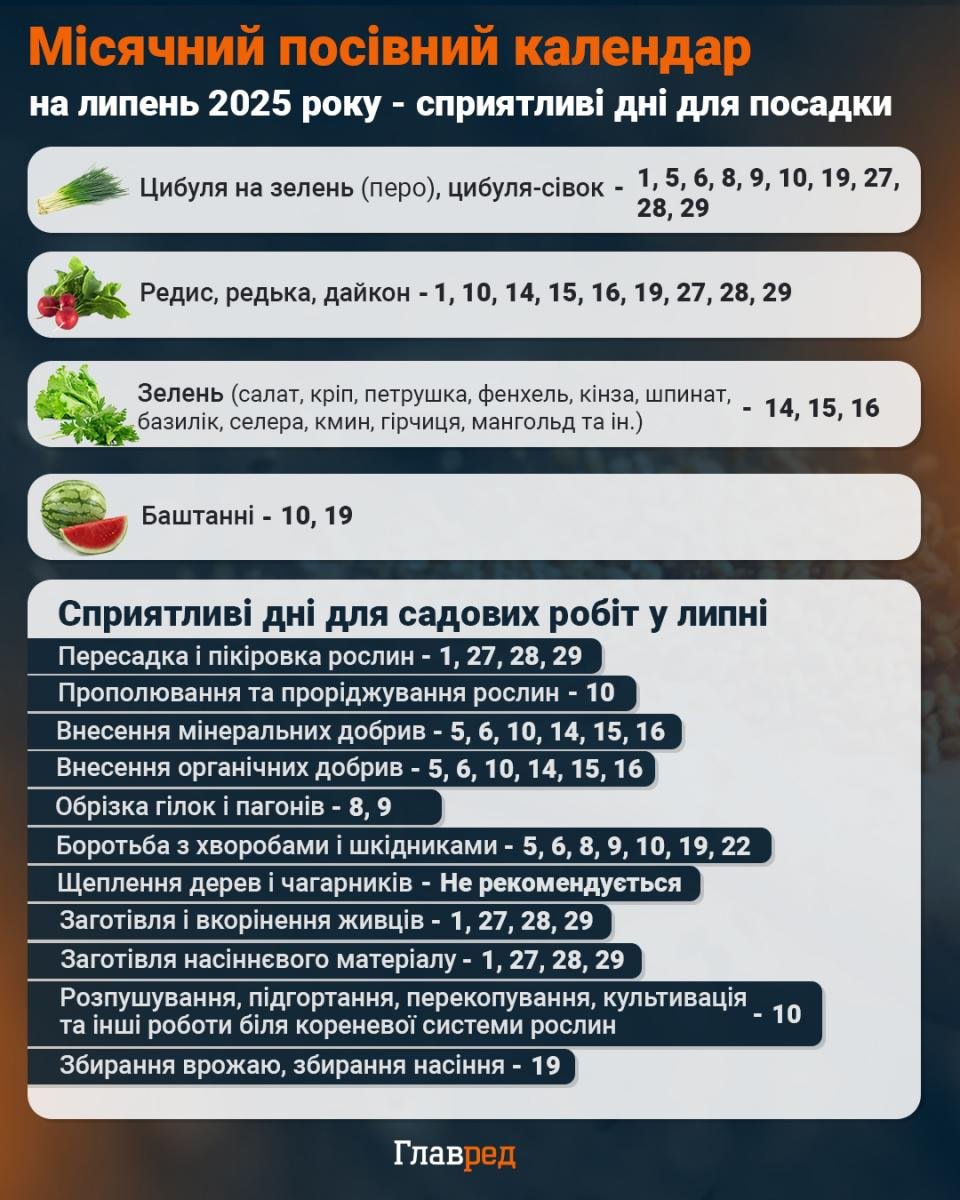 3 ознаки, на які варто звернути увагу: як зрозуміти, що картопля готова до викопування 3 ознаки, на які варто звернути увагу: як зрозуміти, що картопля готова до викопування
