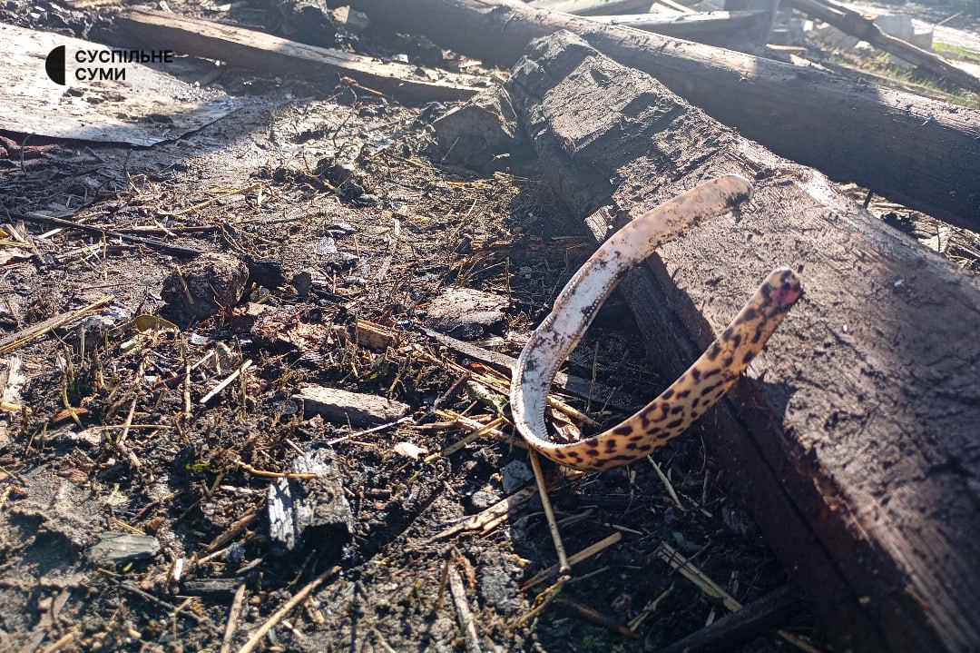 Атака дронів на Сумщину в ніч на 24 червня