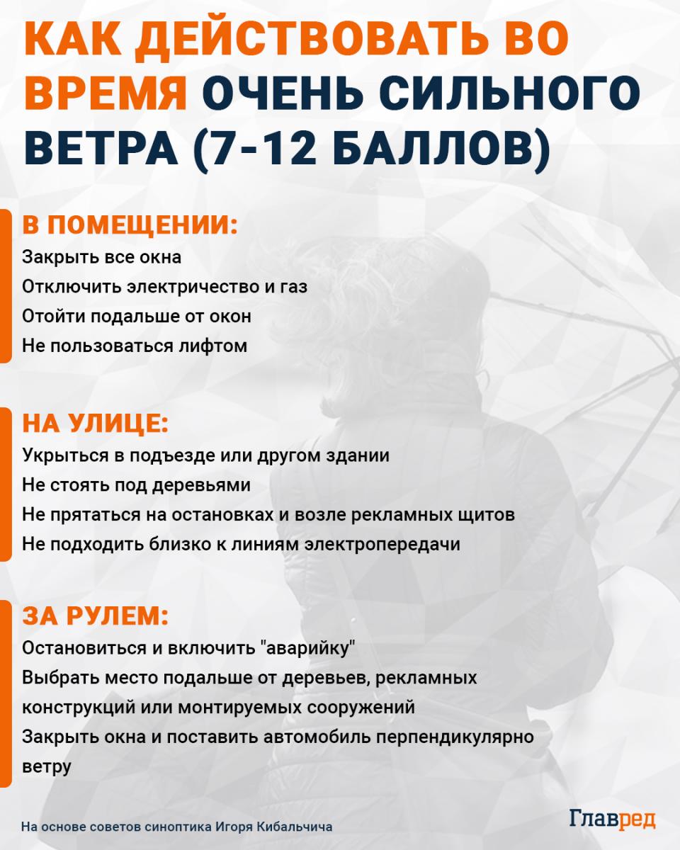 Как действовать во время очень сильного ветра инфографика Как действовать во время очень сильного ветра инфографика