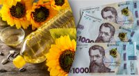 Ціни на соняшник різко впали, заводи зупиняються: чи подешевшає олія в Україні
