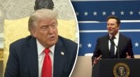 Трампа чекають серйозні проблеми через Маска - що задумав мільярдер