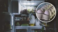 Ошибается большинство: где лучше хранить яйца и другие продукты в холодильнике