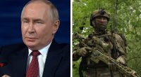 Путін намагається до 2 вересня захопити території в трьох областях - Newsweek