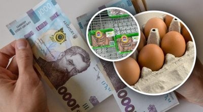 Яйца, курятина, деньги Яйца, курятина, деньги