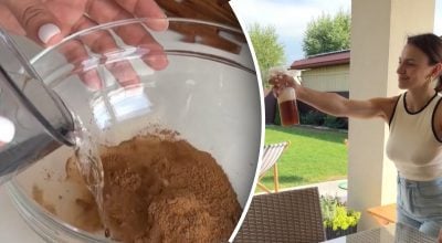 Средство от насекомых Средство от насекомых